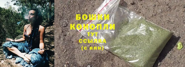 PSILOCYBIN Володарск
