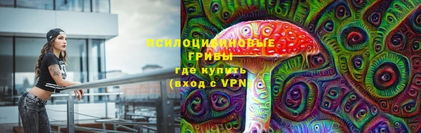 apvp Волоколамск