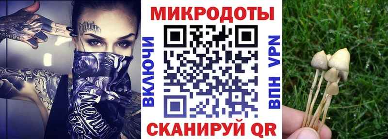 наркошоп  Черемхово  Псилоцибиновые грибы MAGIC MUSHROOMS 